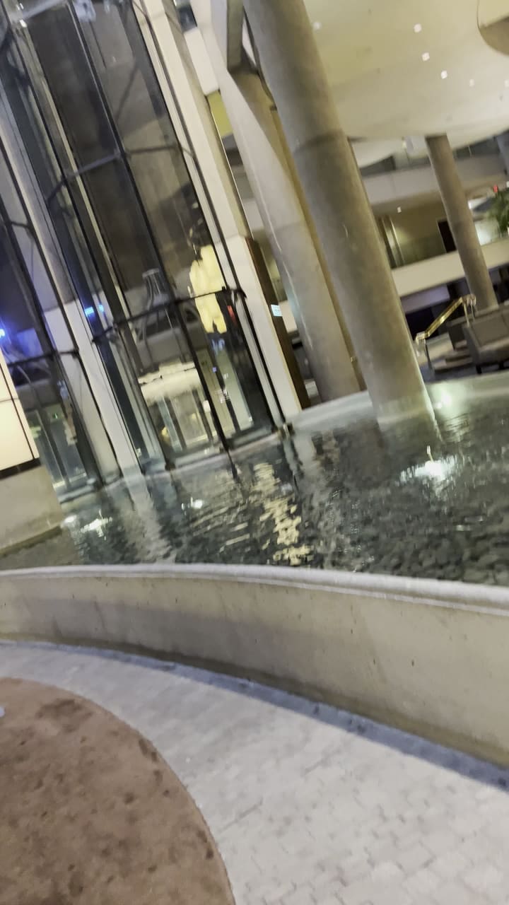 Video review of The BonaVista Lounge