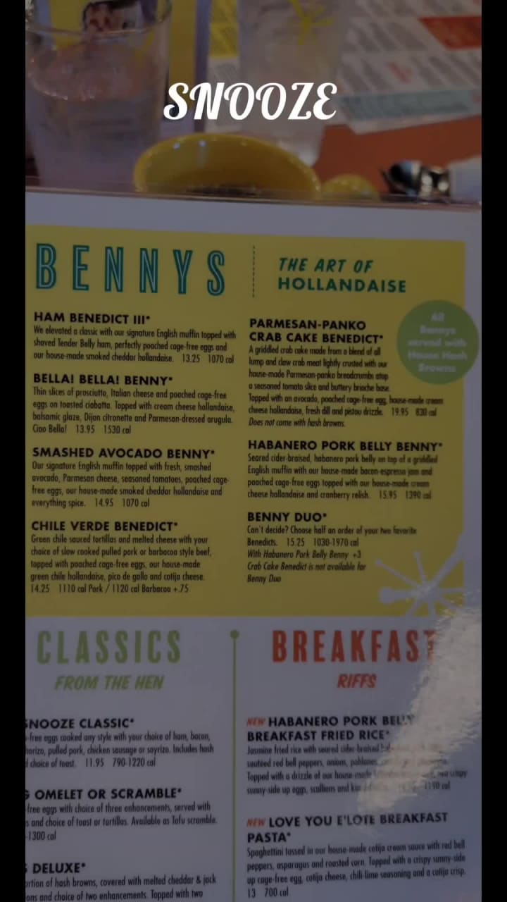 Video review of Snooze