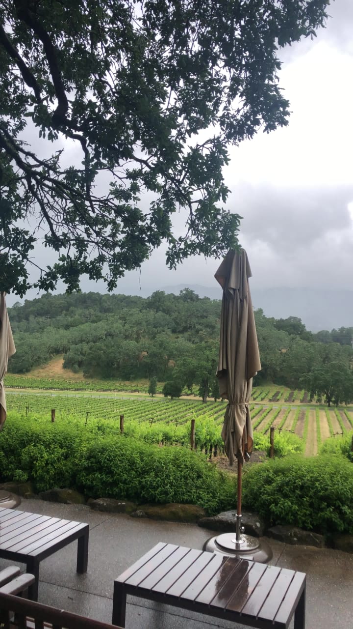 Joseph Phelps Vineyards