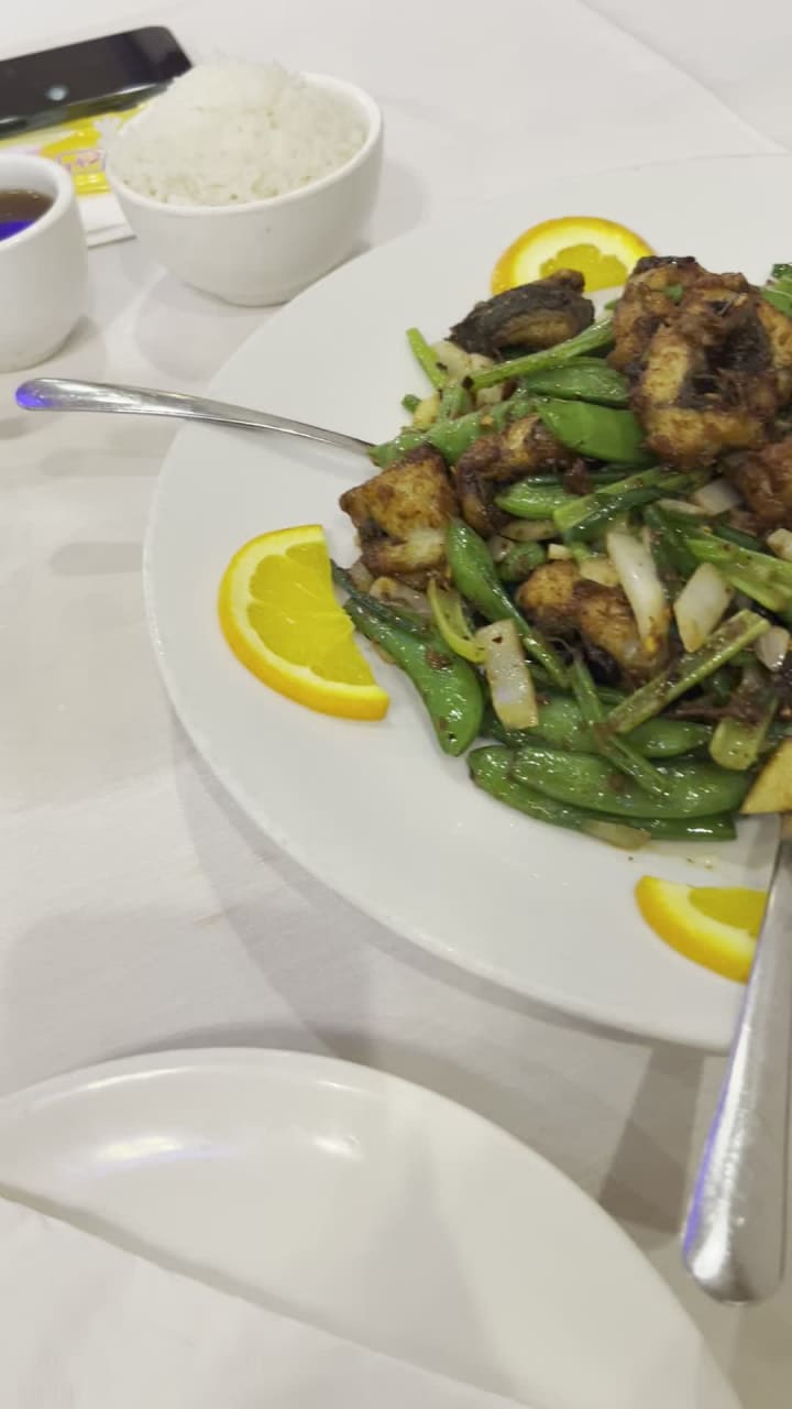 Video review of Tai Lake