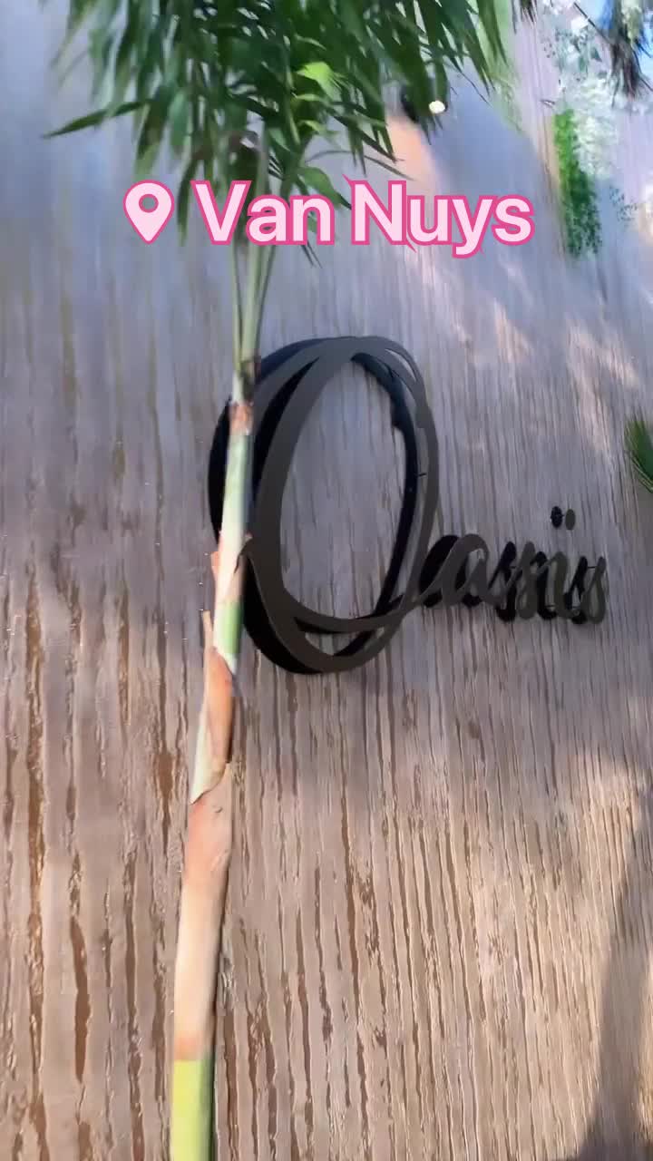 Oasis Bar & Restaurant