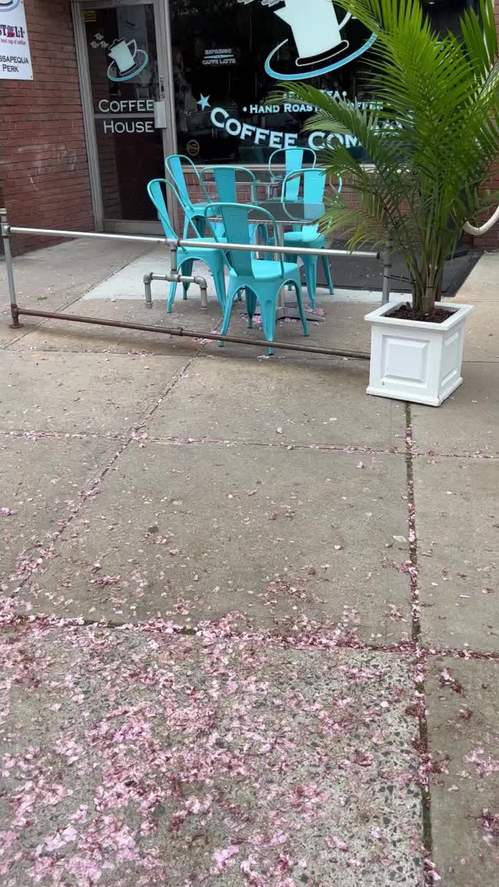 Video review of Massapequa Perk