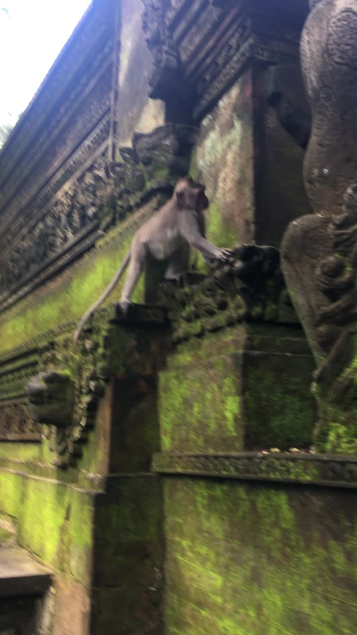 Video review of Sacred Monkey Forest Sanctuary (Mandala Suci Wenara Wana)