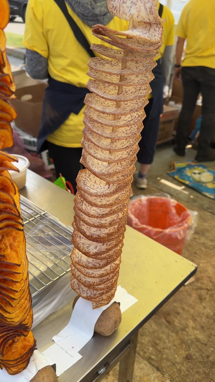 Video review of Pacific Mall 太古廣場