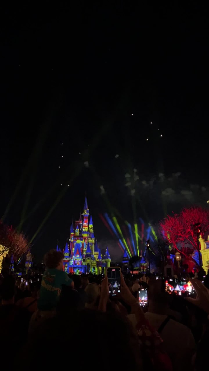 Video review of Cinderella Castle