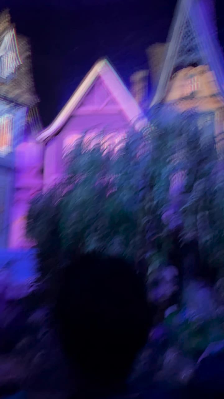 Tokyo DisneySea (東京ディズニーシー)