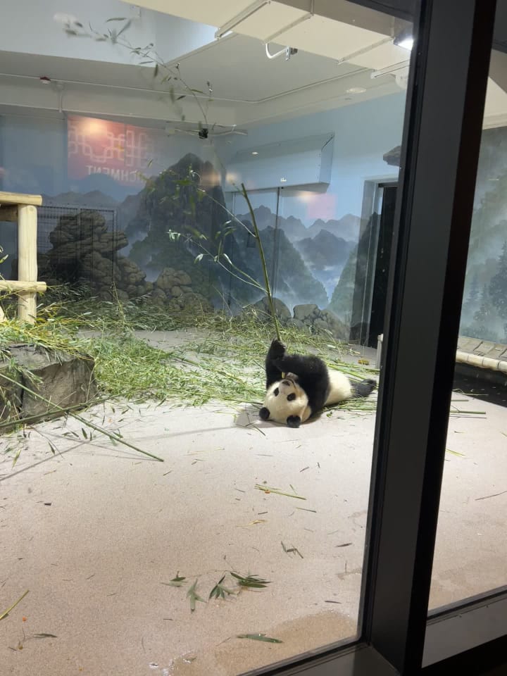 Smithsonian Conservation Biology Institute