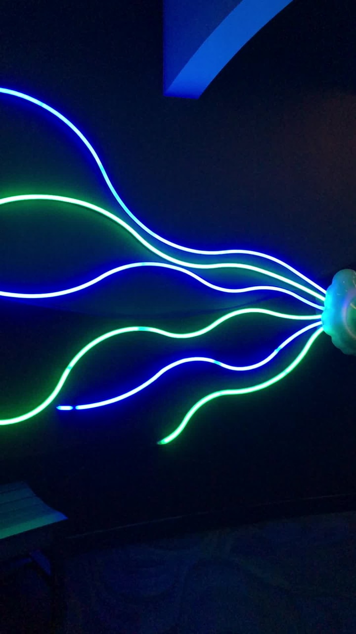 Video review of Ripley's Aquarium of Canada