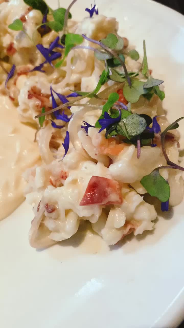 Video review of Vida