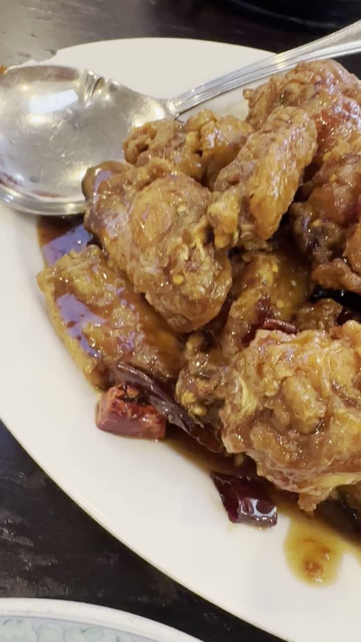 Video review of San Tung Chinese Restaurant