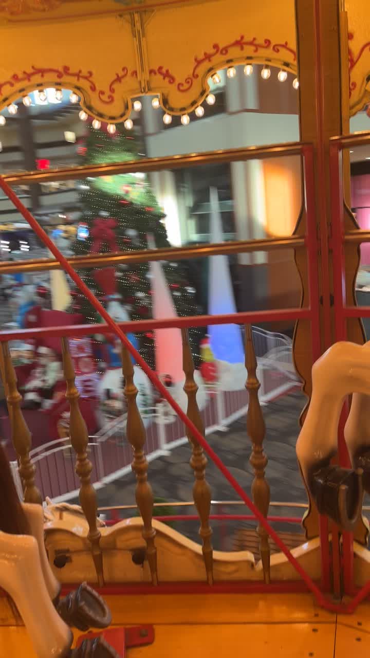 Video review of Maplewood Mall