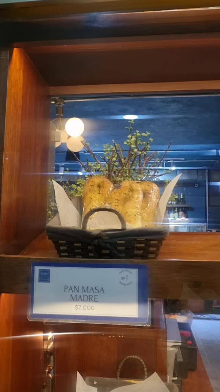 Delia centro internacional