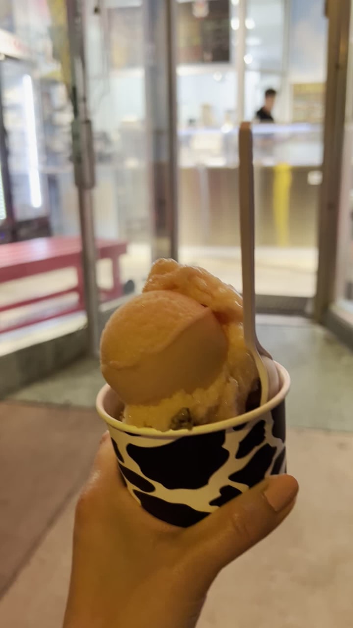 Video review of The Frieze Ice Cream Factory