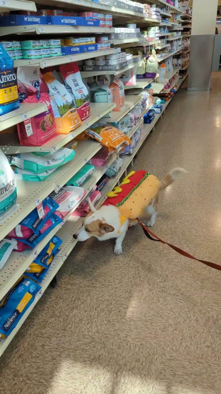 Video review of PetSmart