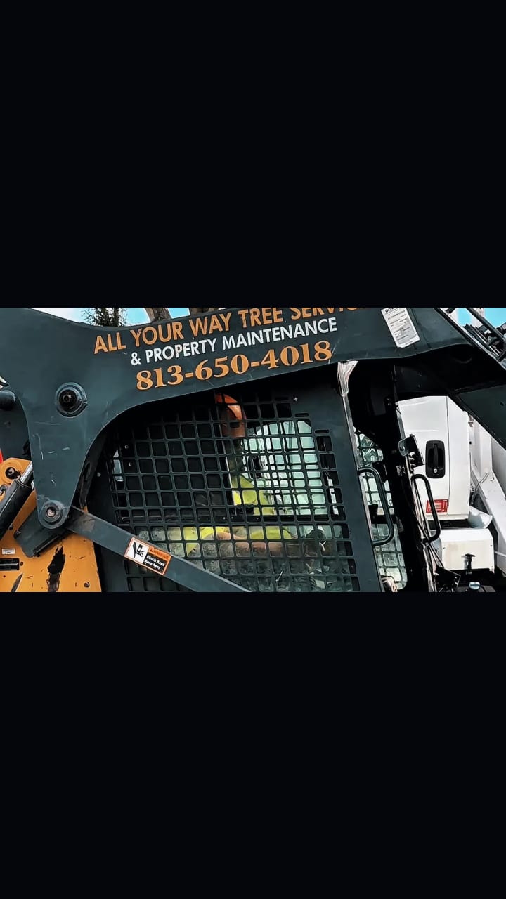 All Your Way Lawn, Tree, and Property Maintenance