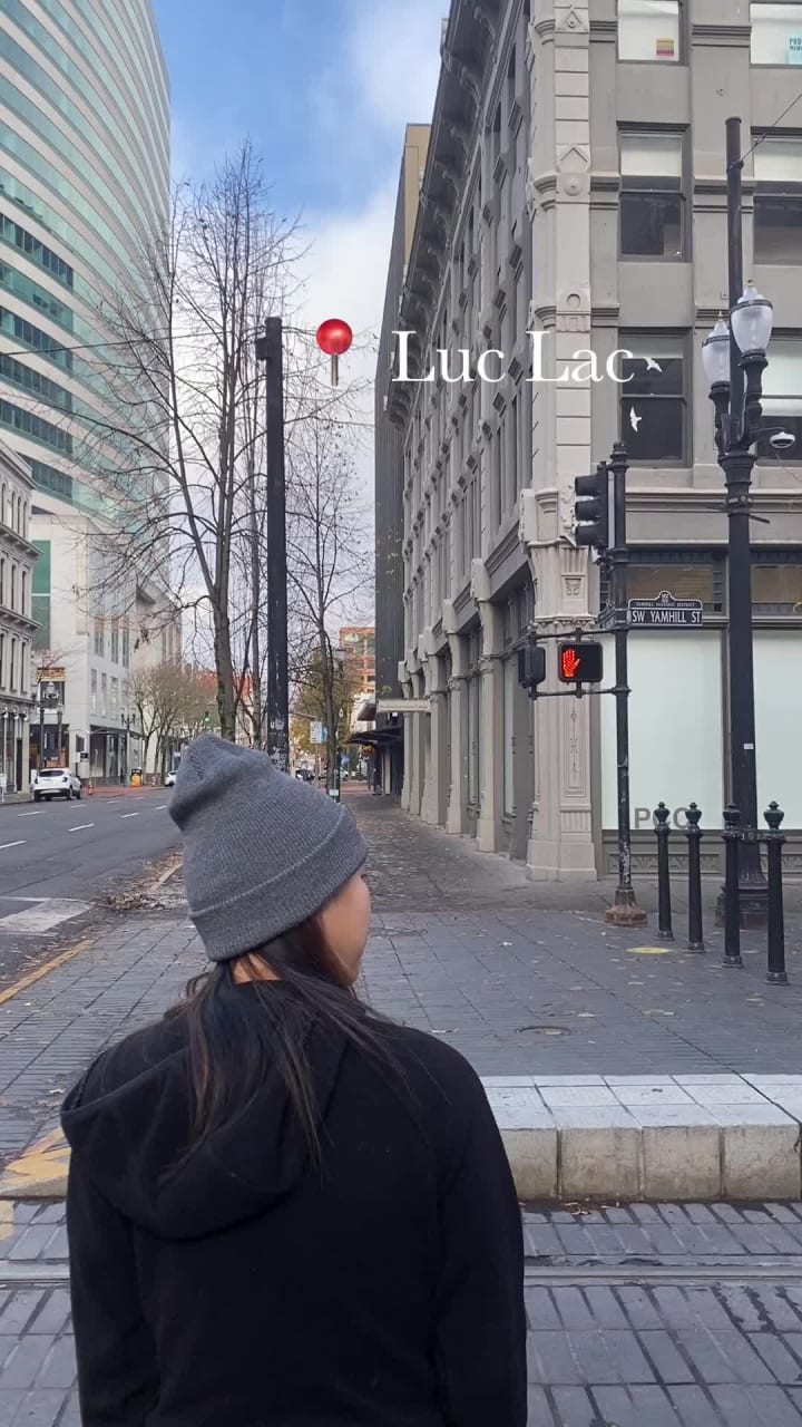 Luc L.Ac. Vietnamese Kitchen