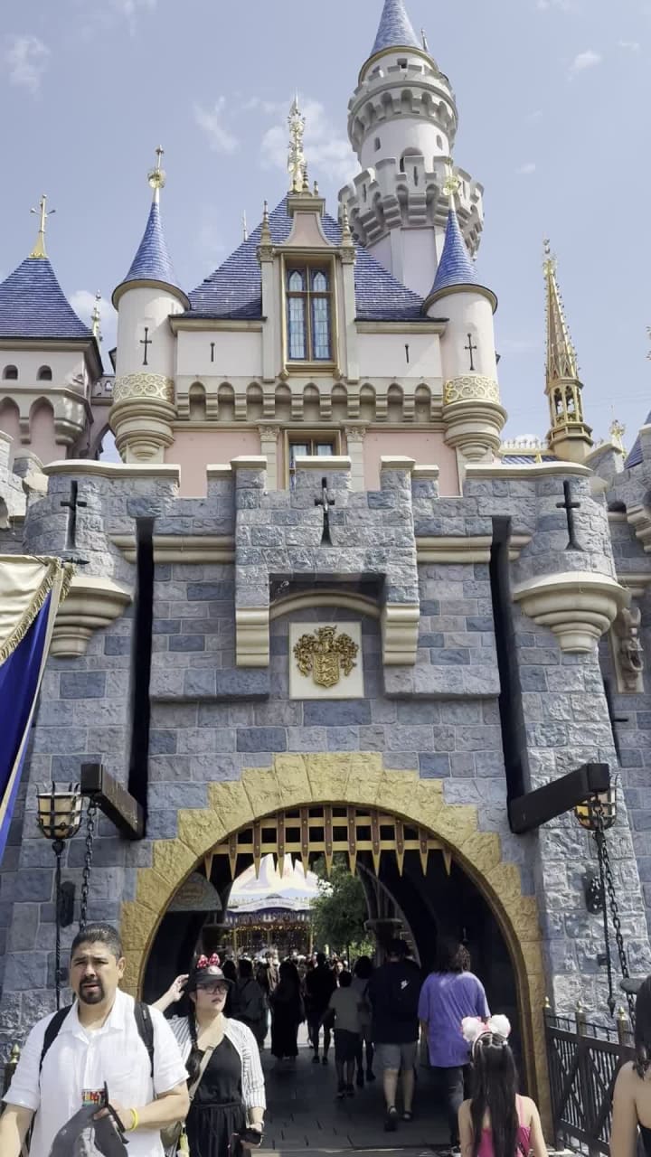 Sleeping Beauty Castle