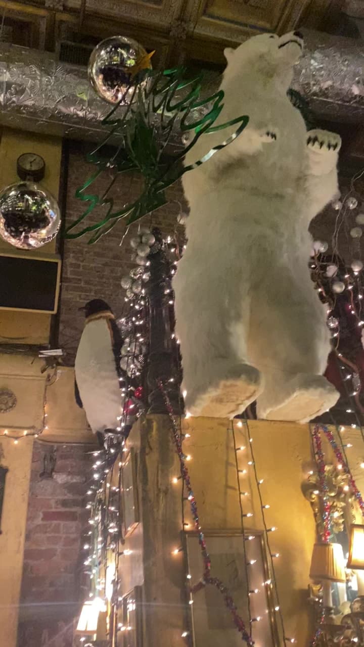 Lillie's Victorian Establishment