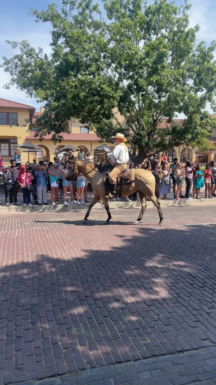 Video review of Stockyard Exchange