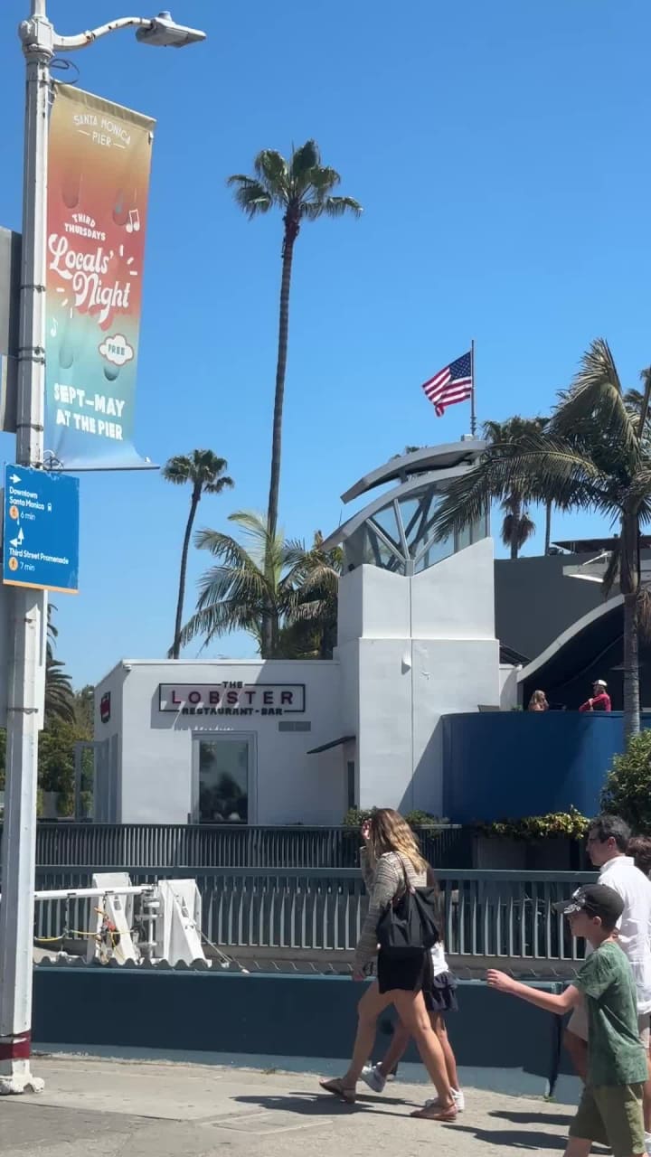 Video review of The Lobster