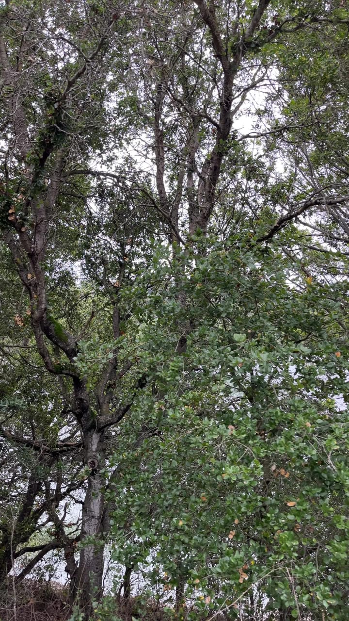 Video review of Lake Chabot Regional Park