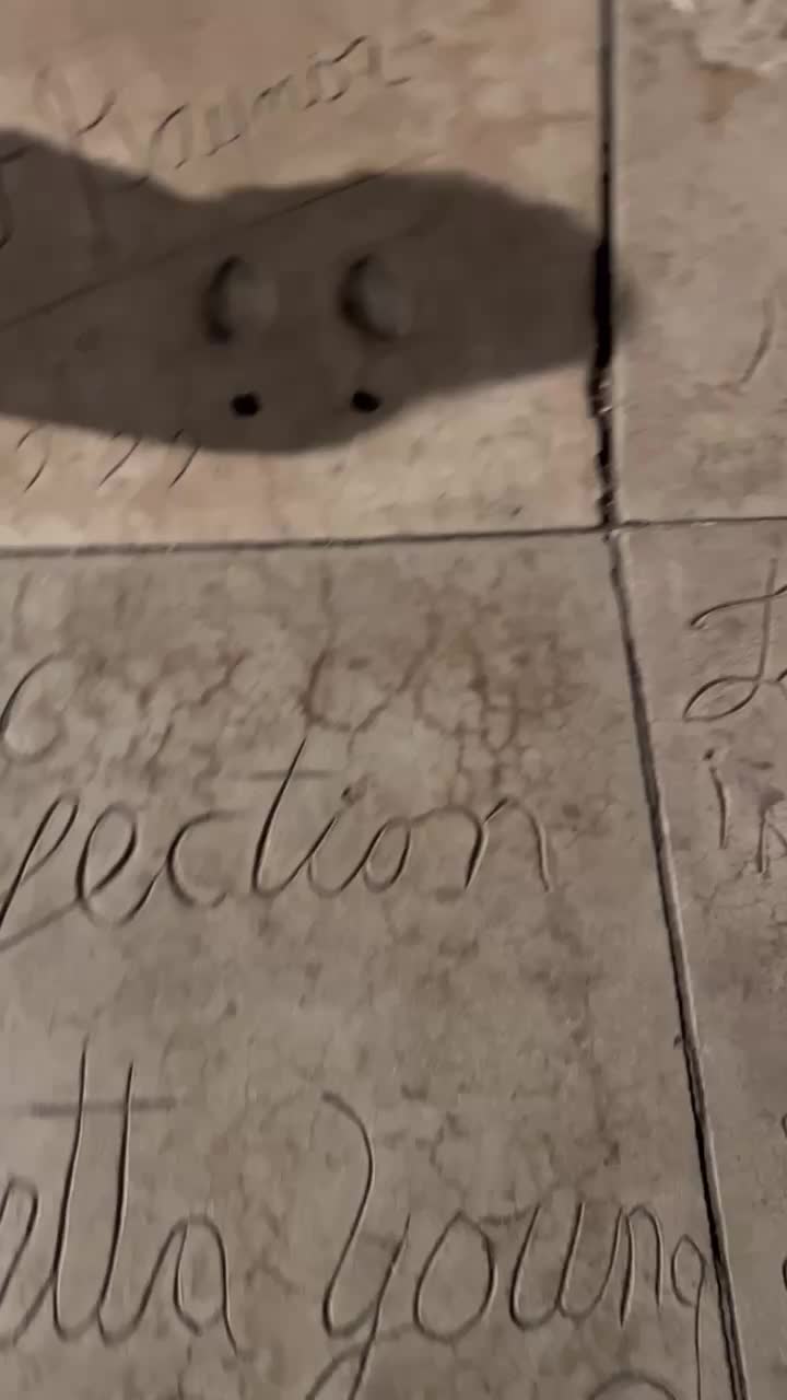 Video review of TCL Chinese Theatre