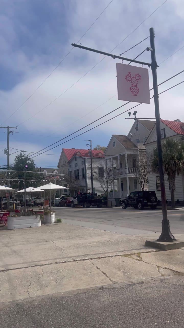 Video review of Pink Cactus