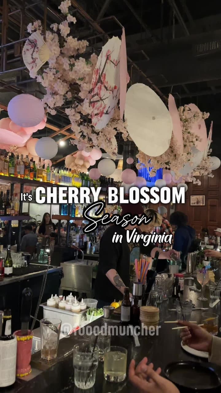 Video review of 5ense of Thai St.