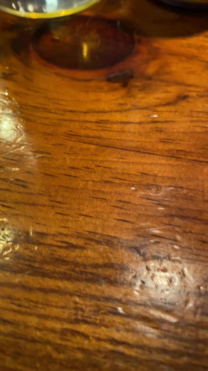 Video review of Growlers Beer Bistro