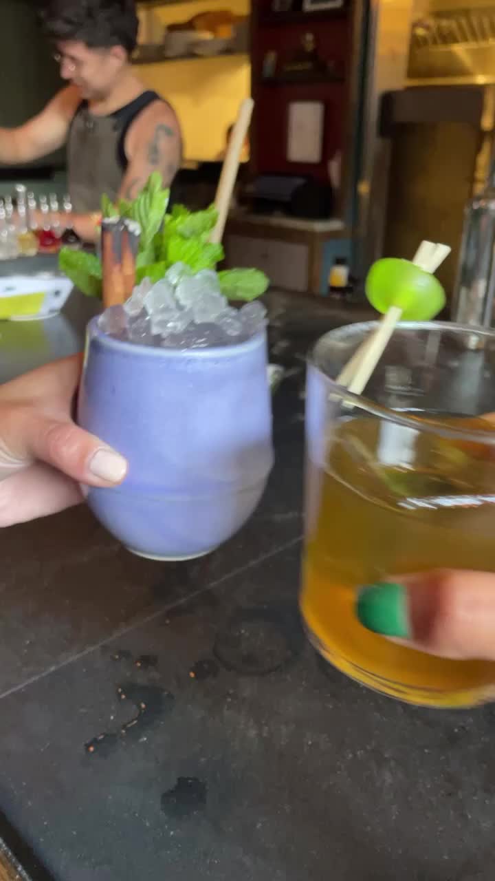 Video review of Trick Dog