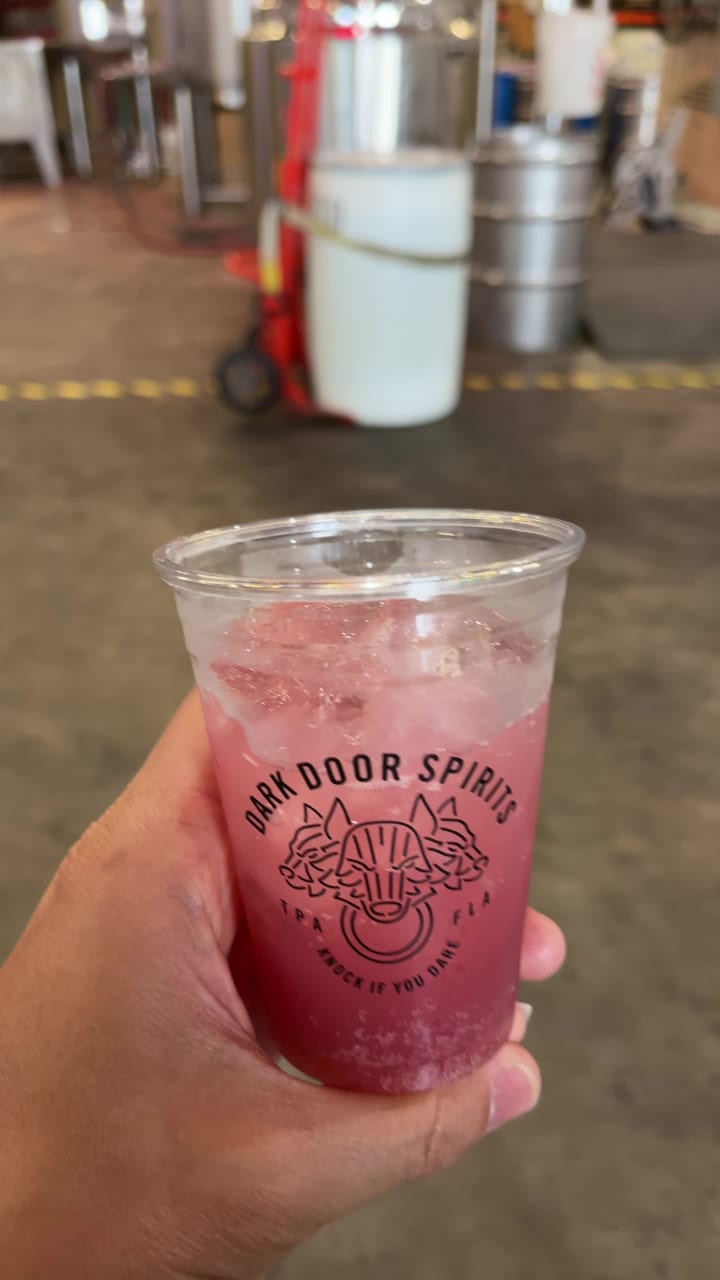 Dark Door Spirits