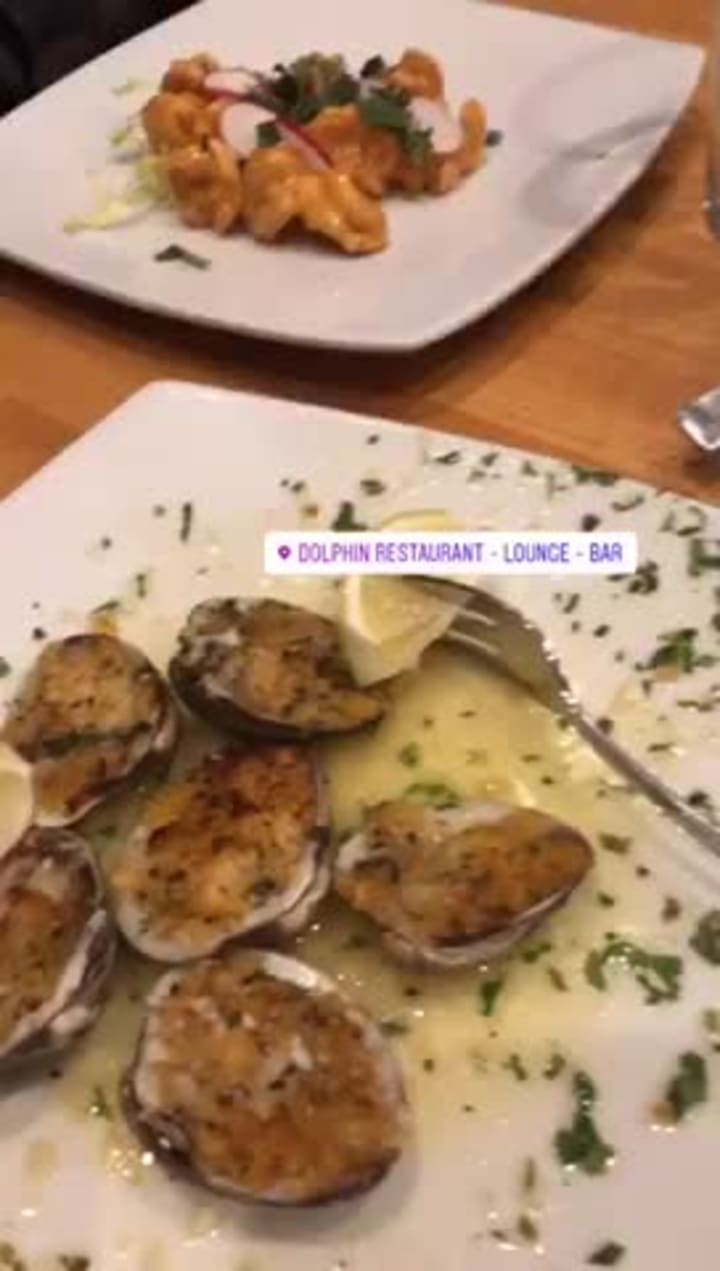 Video review of Dolphin Restaurant, Bar, and Lounge