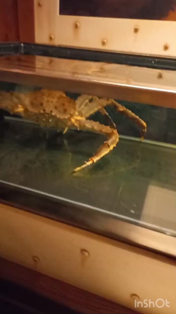 Рыбный ресторан Assunta Madre