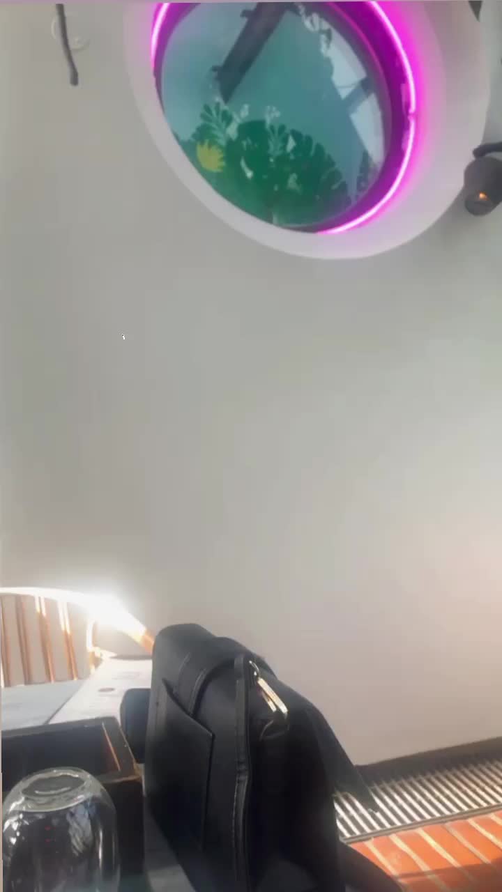 Video review of Gorgeous George