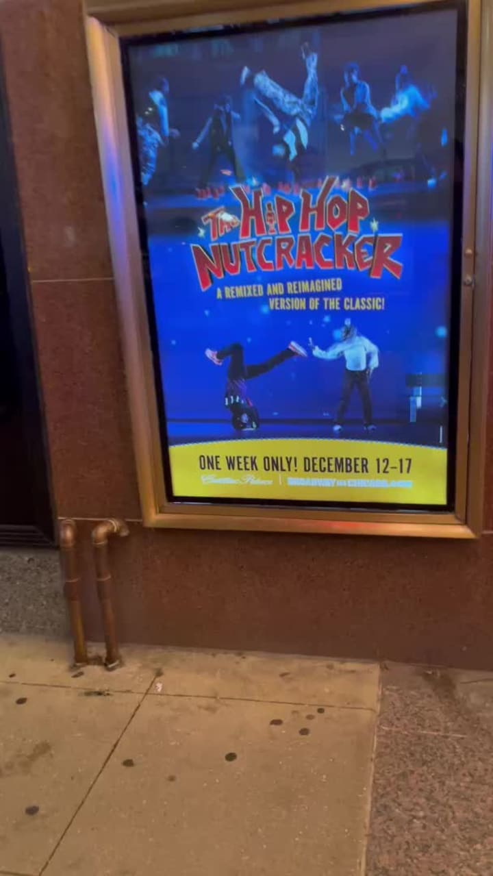 Video review of Cadillac Palace Theatre