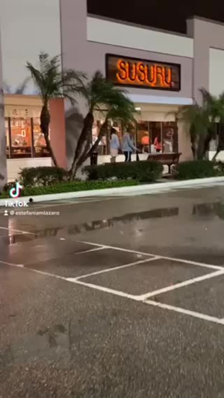 Video review of Susuru