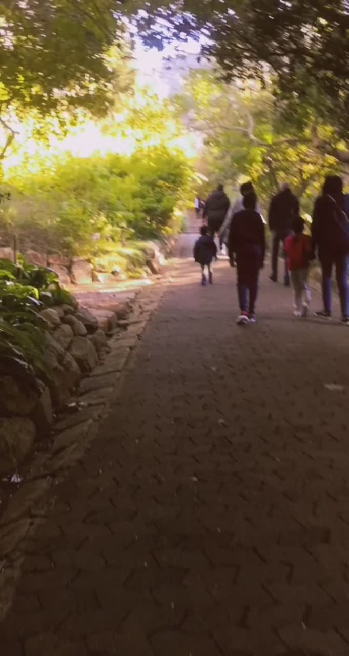 Kirstenbosch Gardens