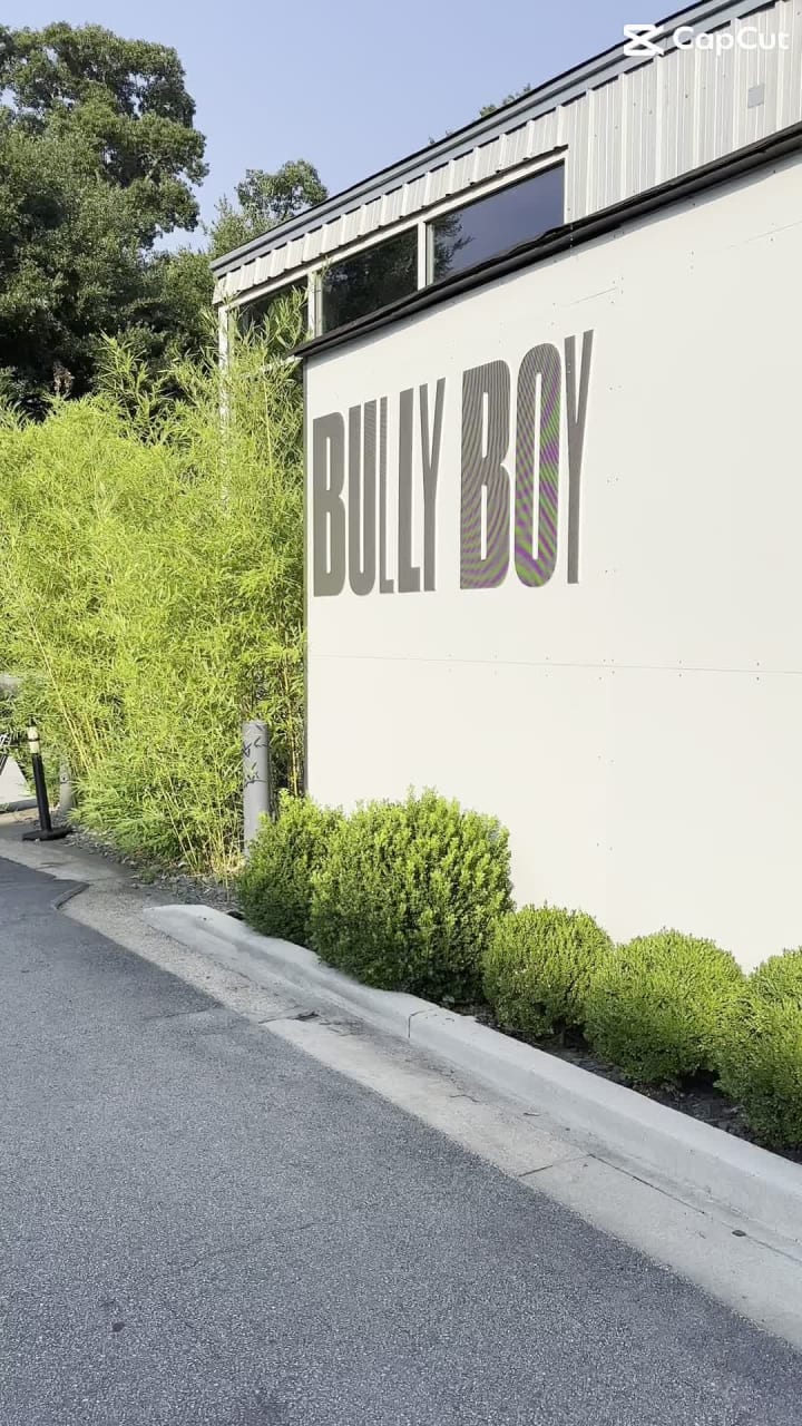 Video review of Bully Boy