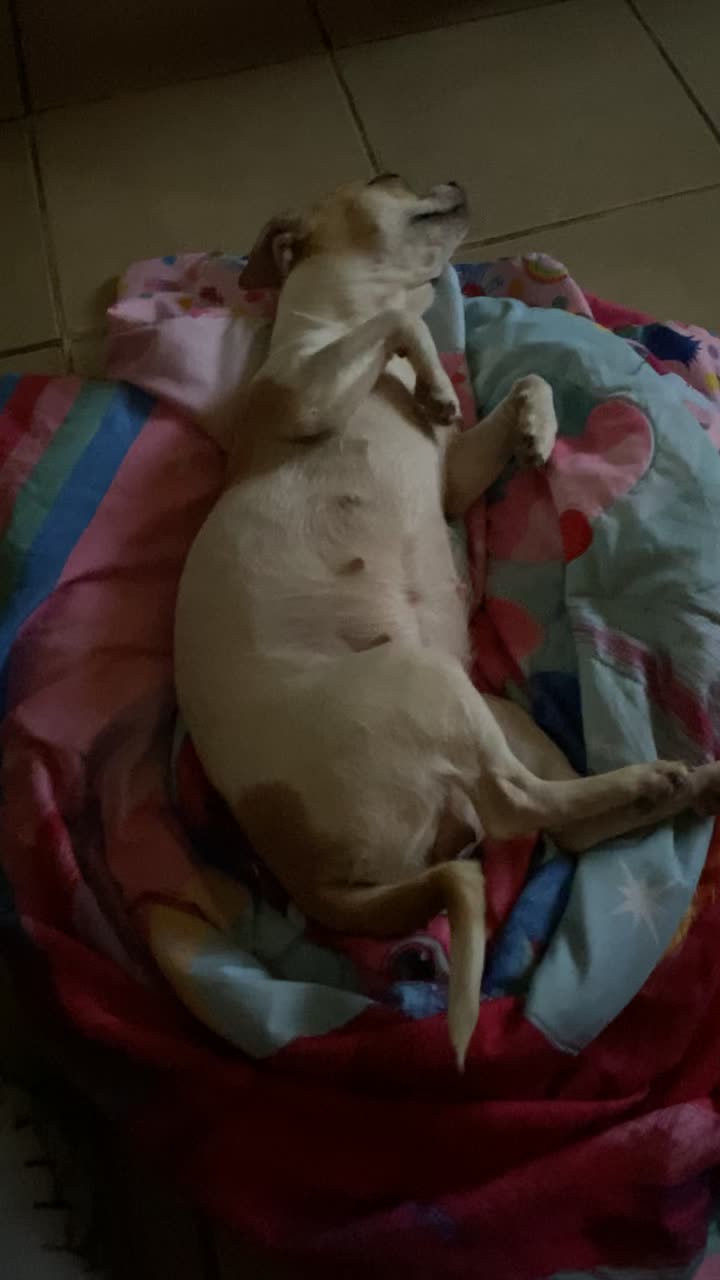 Mad Dogs British Pub