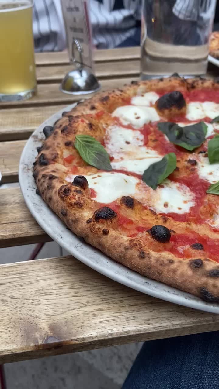 Video review of Barboncino