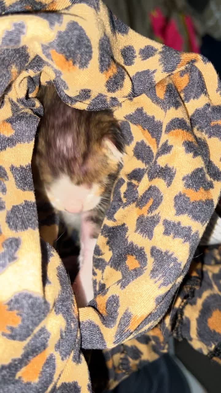 Miller Ranch Neighborhood Park