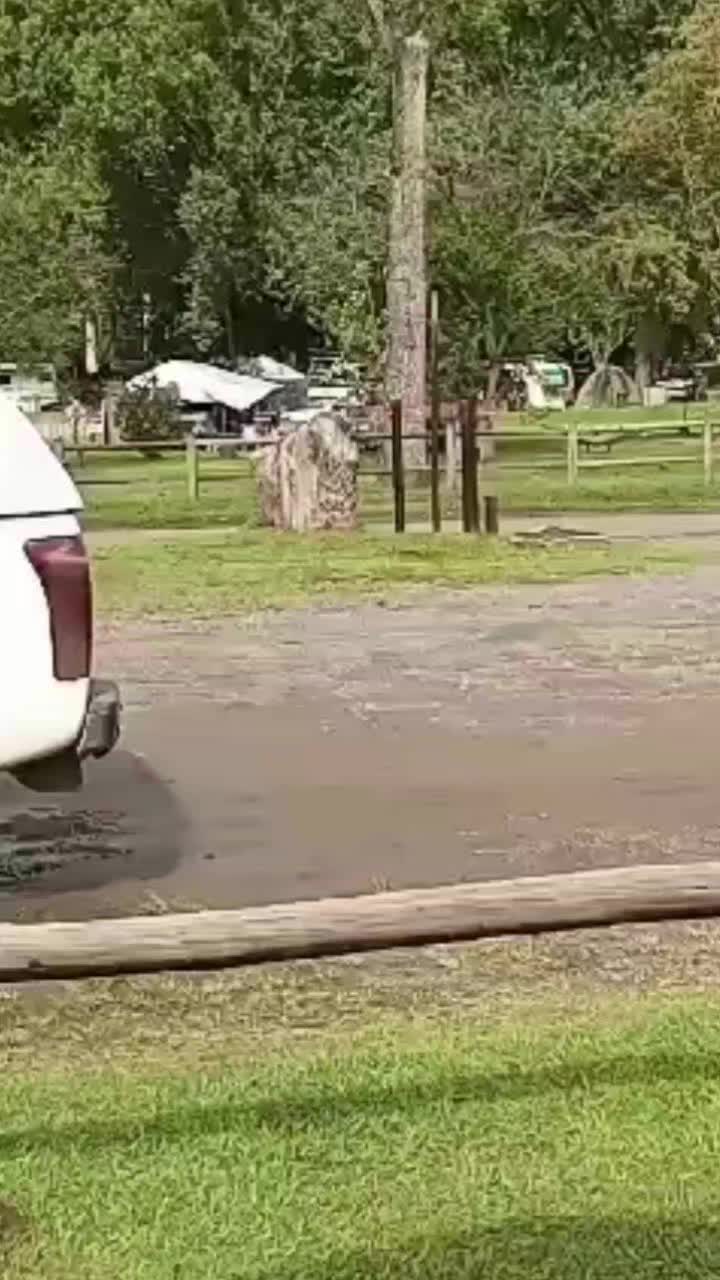 Dragon Peaks Mountain Resort