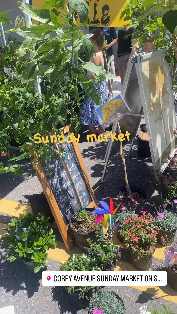 Corey Avenue Sunday Market