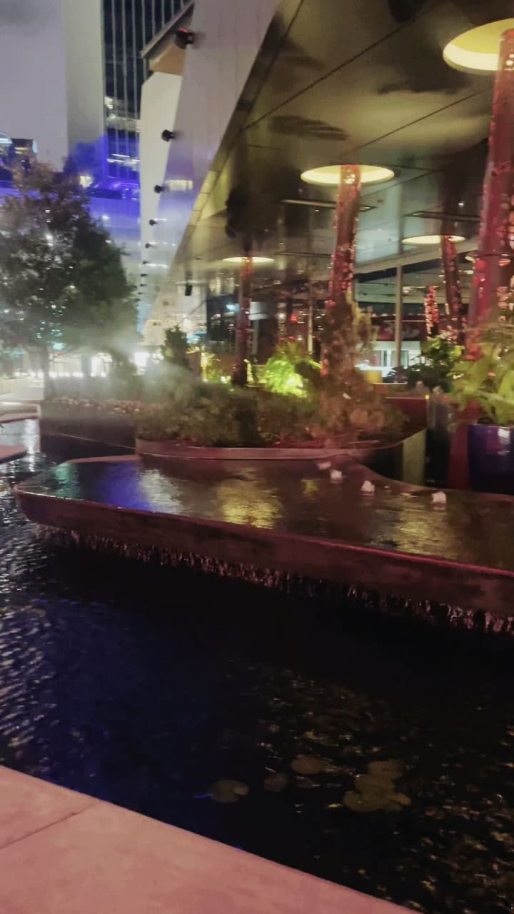 Video review of Komodo