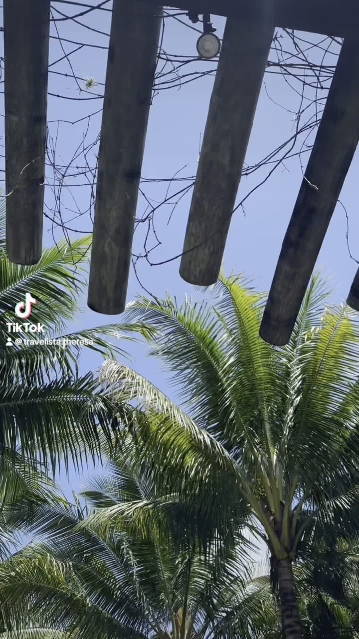 Palm Beach Zoo & Conservation Society