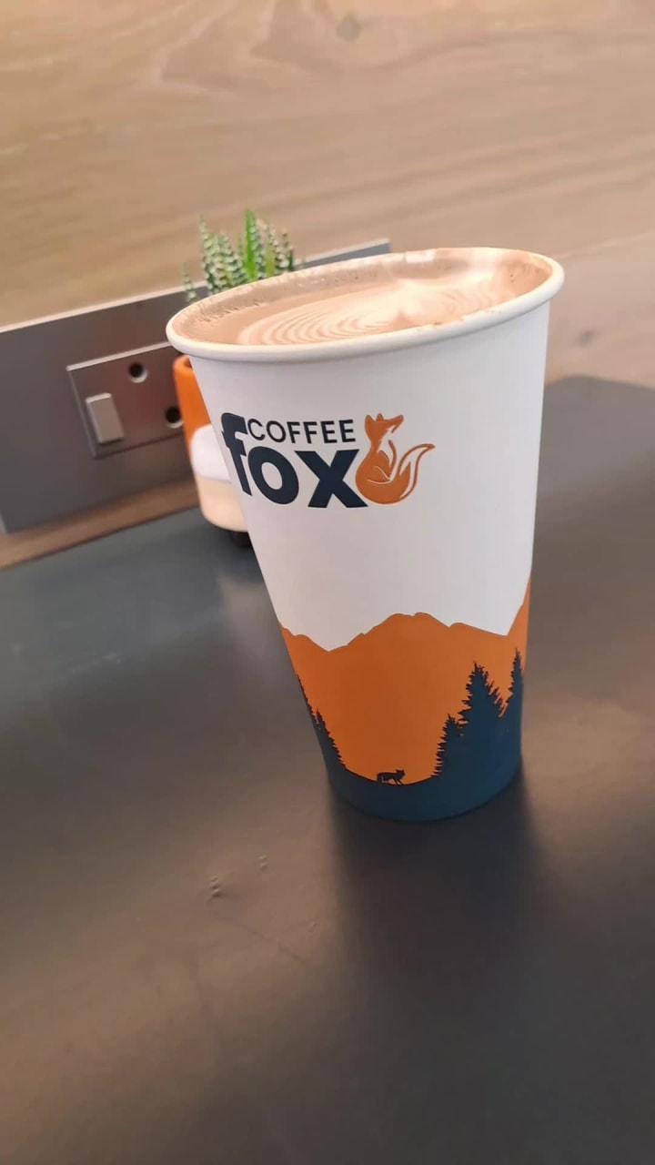 Coffee fox