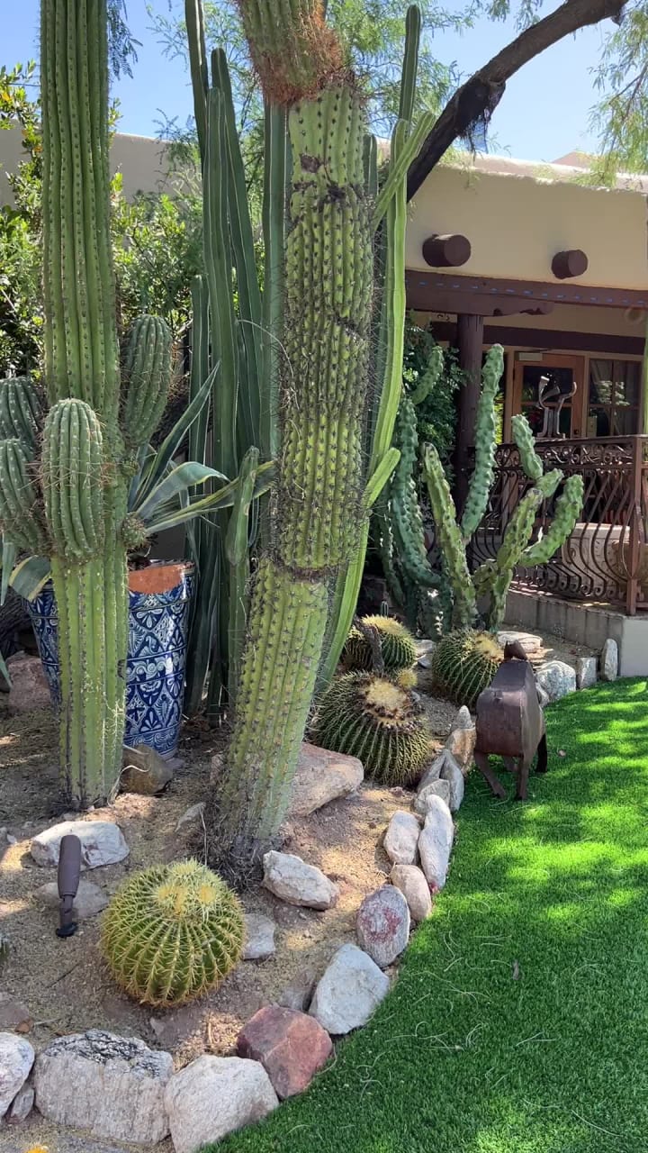 Hacienda del Sol Guest Ranch Resort