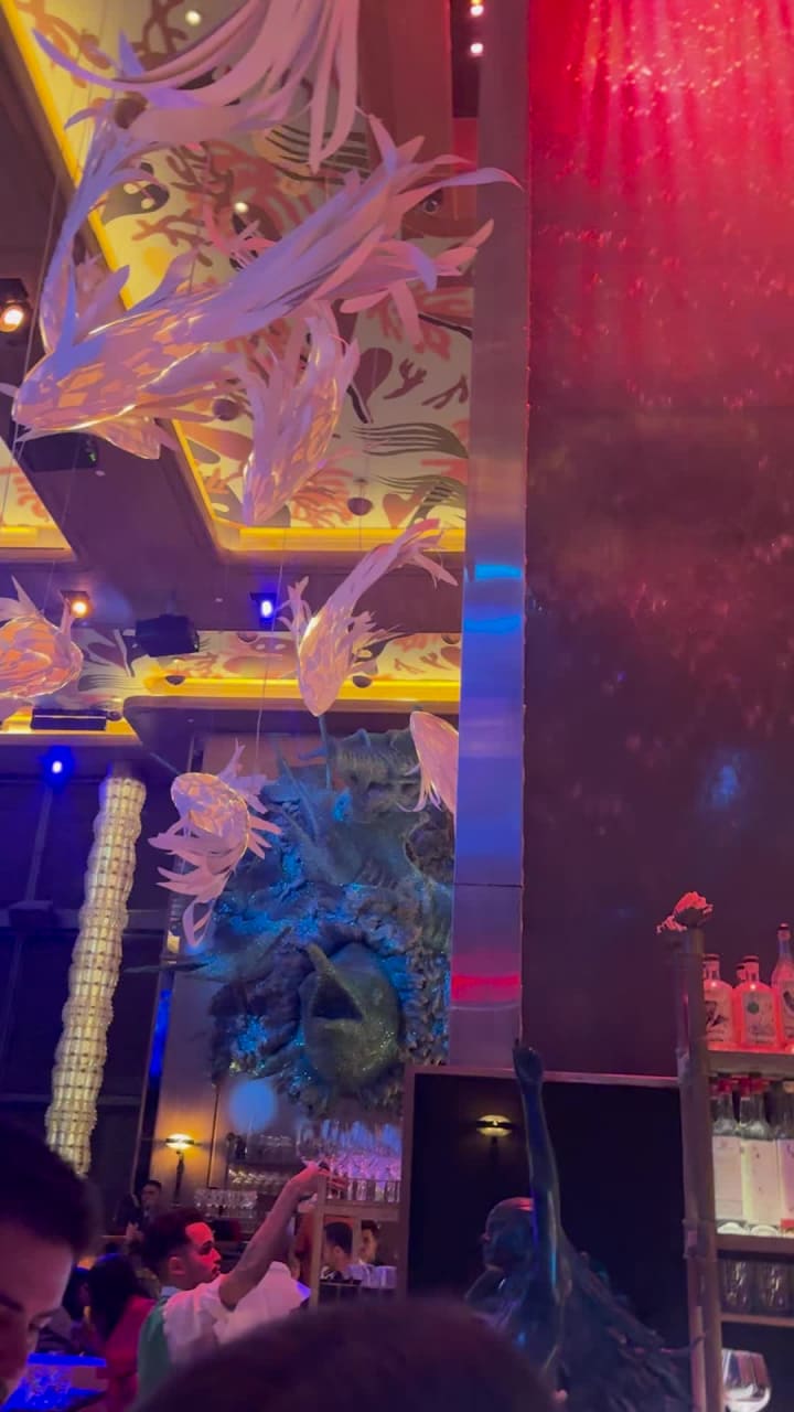 Video review of Sexy Fish - Miami - Opening Trials