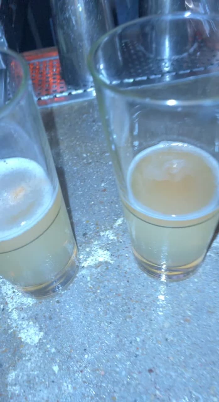 Video review of The Skellig