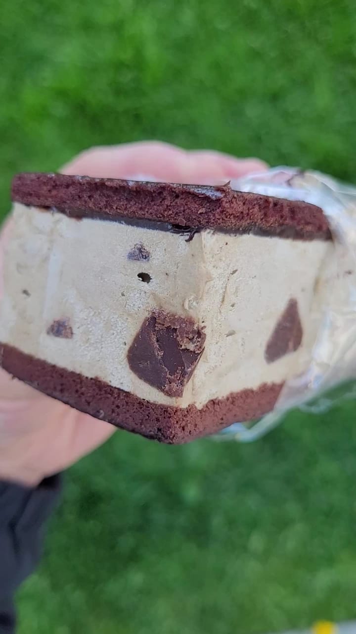 Video review of Earnest Ice Cream